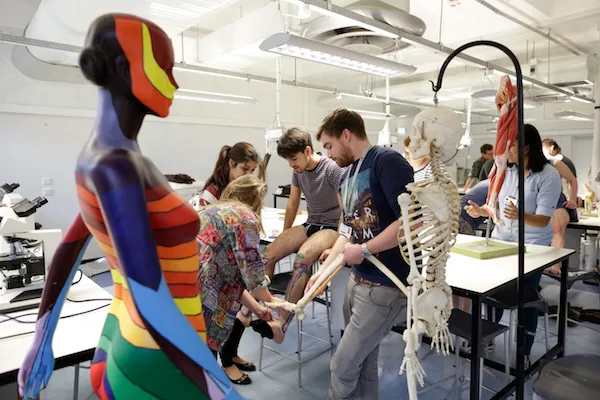Precision Musculoskeletal Sciences