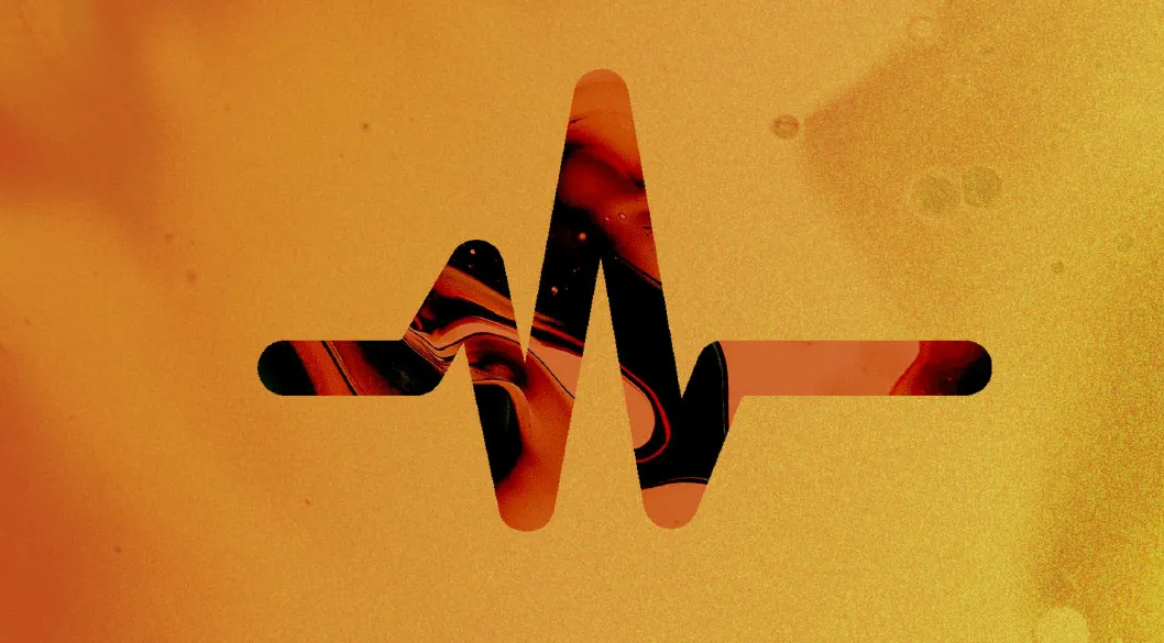 Crisis and Resilience 