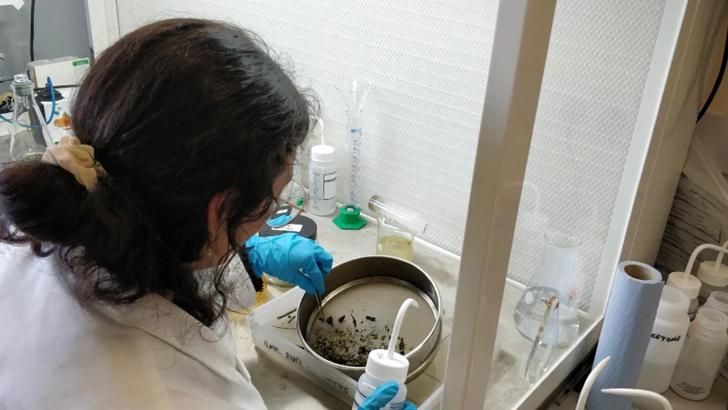 Microplastic lab analysis