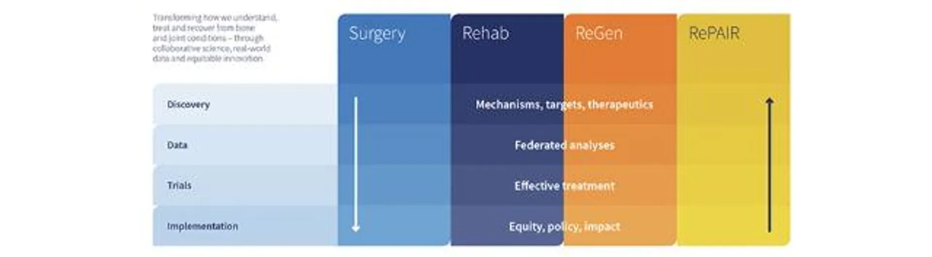Clusters and themes info graphic