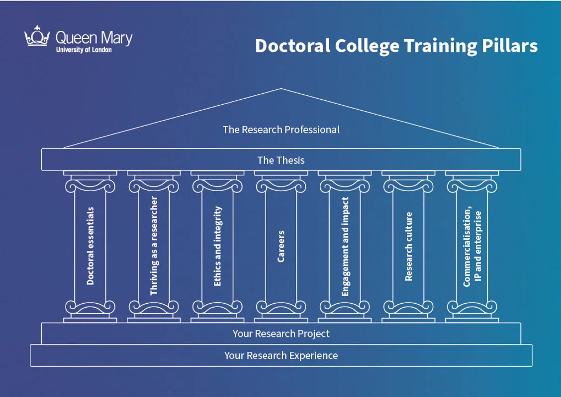 Training Pillars graphic image