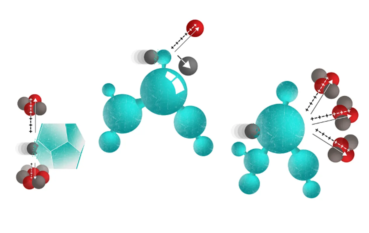 Organic semiconductors (neutrons)