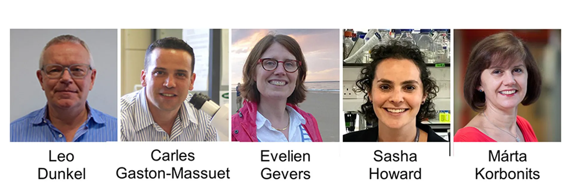 Pituitary Centre Members