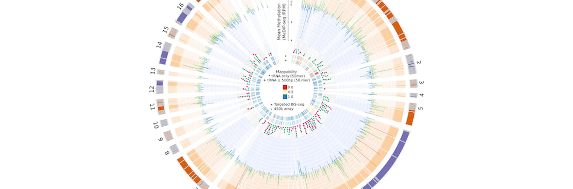 Circos plot displaying human DNA methylation data.