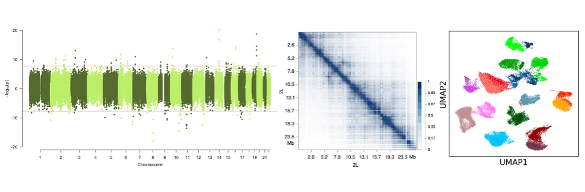 GWAS, HiC and scRNA-seq data plots