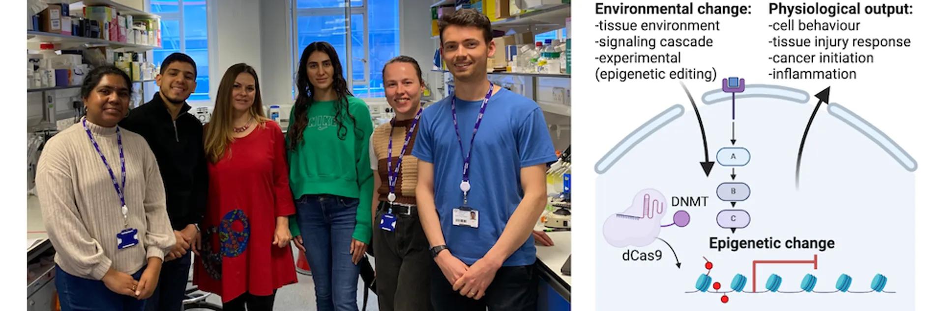 Photo of members of the Ficz lab next to a schematic linking environmental changes, epigenetics and physiology