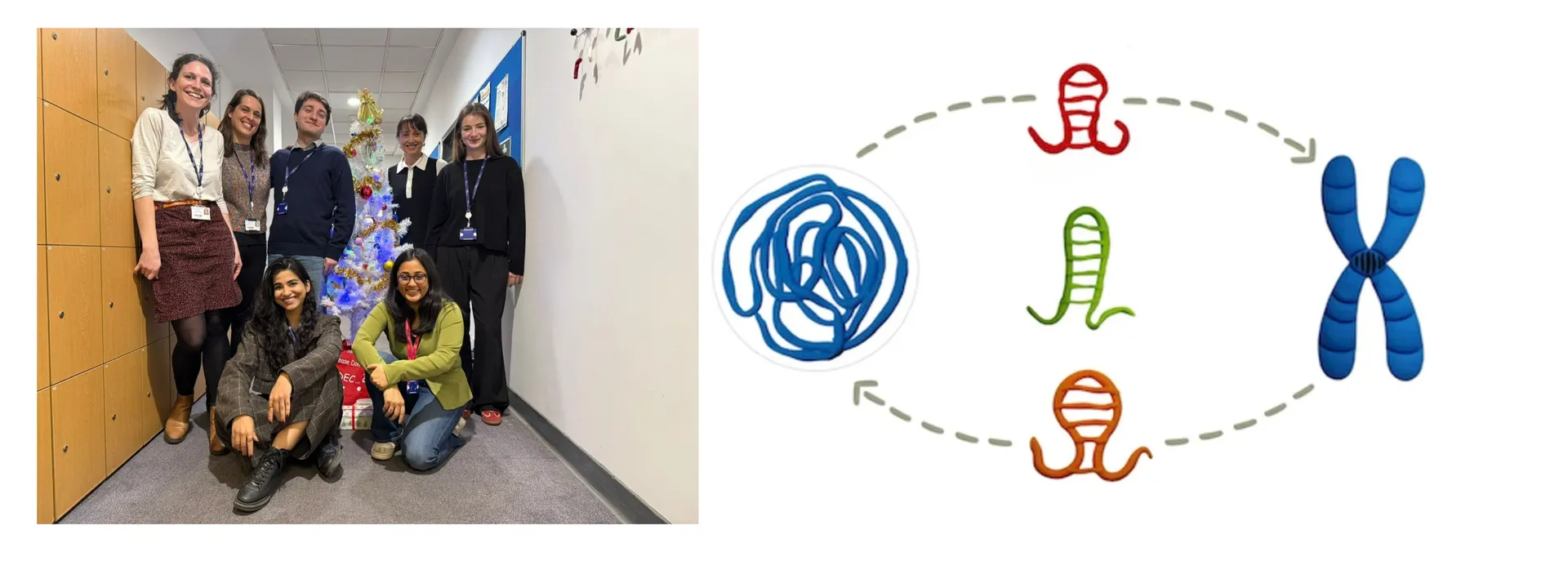 Photo of members of the Stojic lab next to the Stojic lab logo