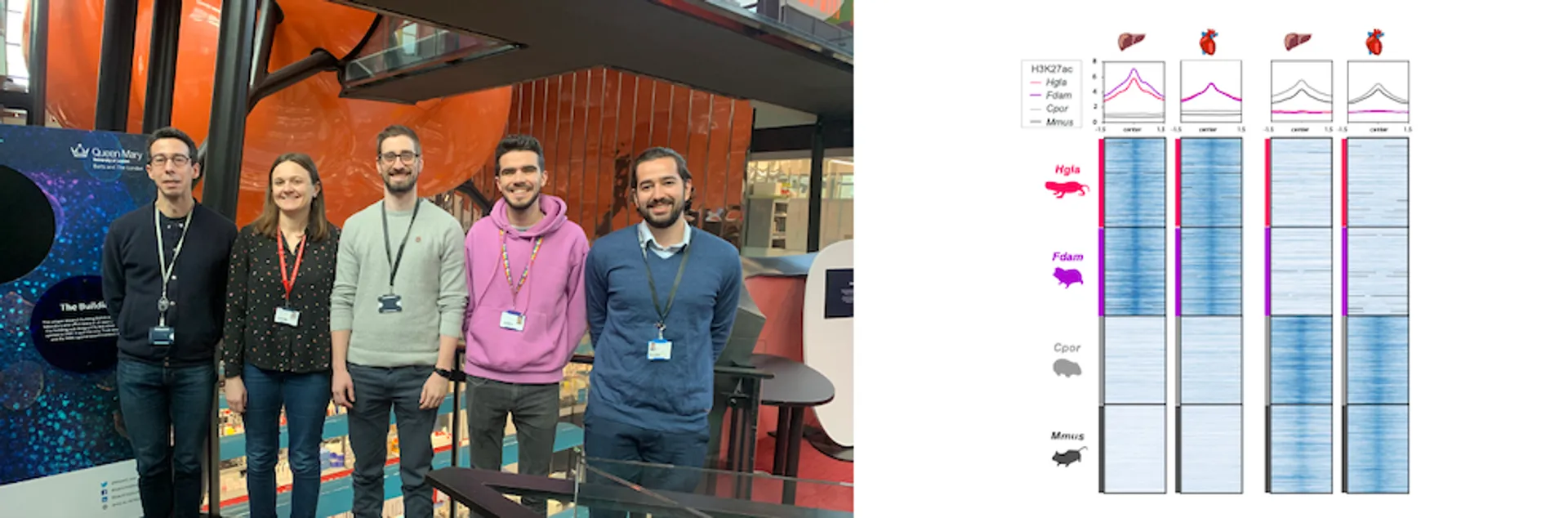 Photo of members of the Villar lab next to a heatmap of H3K27ac data