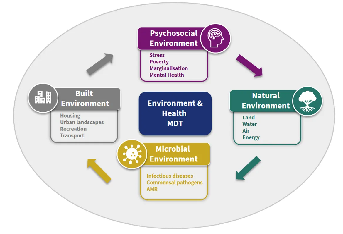 ENH MDT Sub-themes graphic