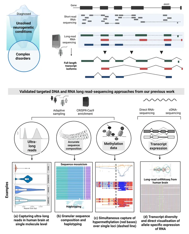 Image of: Using rare disease genetics to understand mechanisms driving neurodegeneration