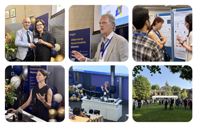 3x3 photo grid WHRI 40th Anniversary