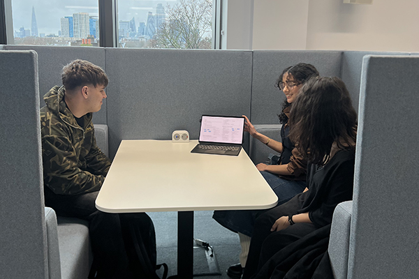 Undergraduate Employability 