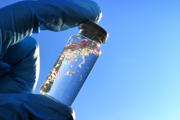 Preventing Plastic Pollution