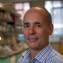 MSc Cancer Sciences reimagined: 